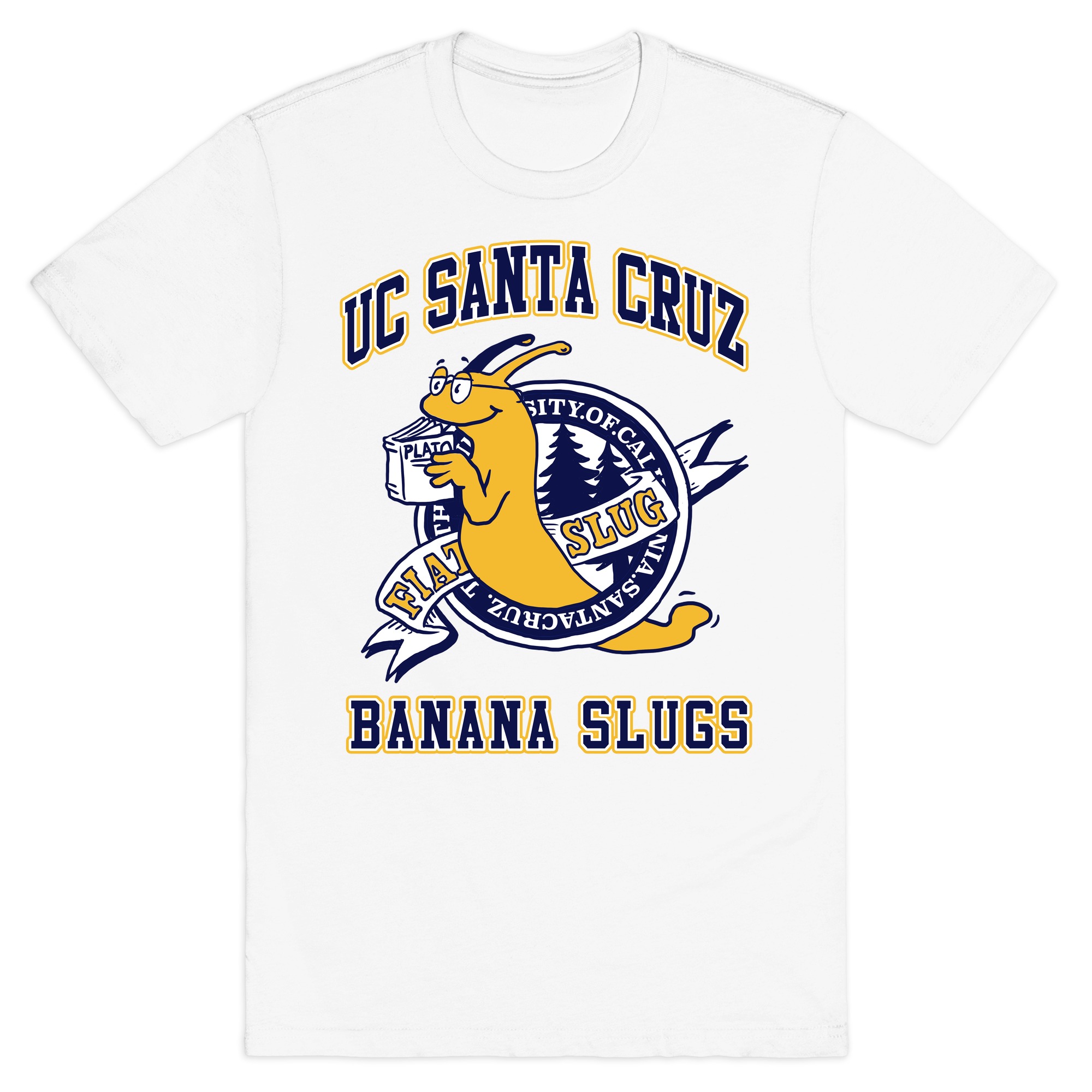 ucsc sweatshirt