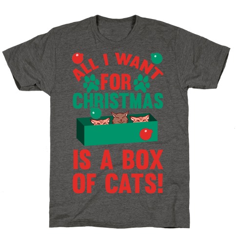 All I Want For Christmas Is A Box Of Cats T-Shirt