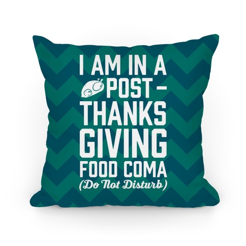 I Am In A Post- Thanksgiving Food Coma (Do Not Disturb) Pillow