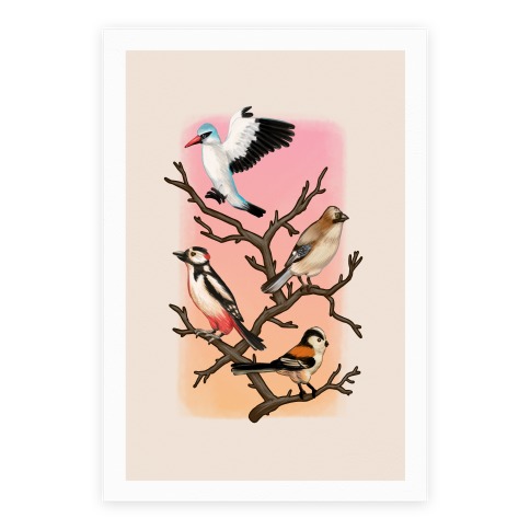 Woodland Birds Poster