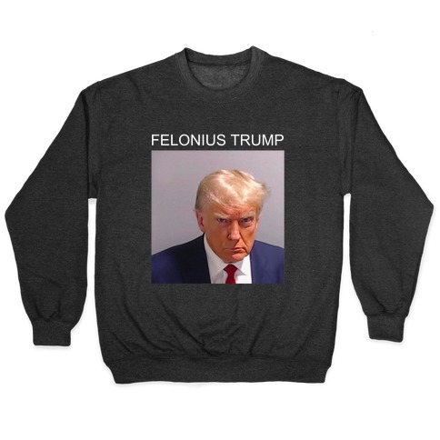  Felonius Trump  Pullover
