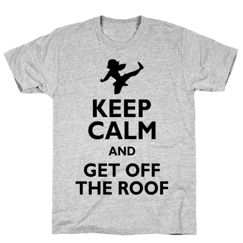 fell off the roof shirt