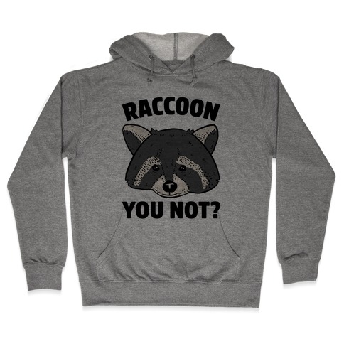 Raccoon You Not? Hooded Sweatshirt