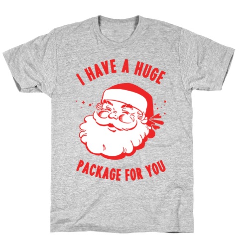 I Have A Huge Package For You Santa T-Shirt