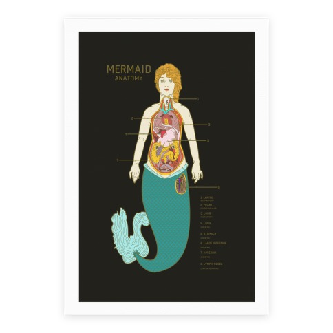 Mermaid Anatomy Poster
