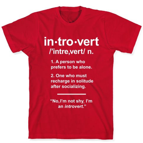 Funny Introvert Shirt Gift for Introvert Introvert Tshirt I Don't Like People Introvert Gift