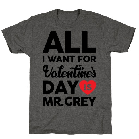 All I Want For Valentine's Day Is Mr. Grey T-Shirt