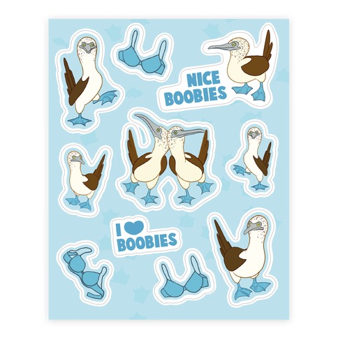 I Love Boobies Blue Footed Boobie Bird Poster