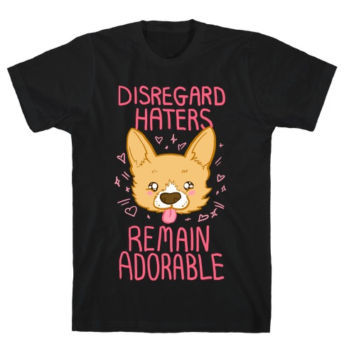 Disregard Haters T-Shirt
