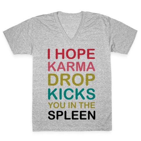 I Hope Karma Dropkicks You in the Spleen V-Neck Tee Shirt