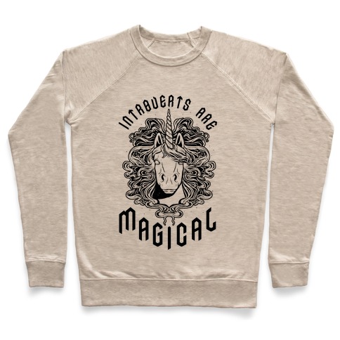 Introverts are Magical Pullover