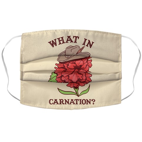 What In Carnation? Accordion Face Mask
