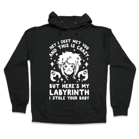 I Just Met You and This is Crazy But Here's my Labyrinth I Stole Your Baby Hooded Sweatshirt
