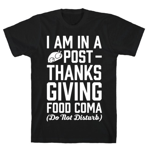 I Am In A Post- Thanksgiving Food Coma (Do Not Disturb) T-Shirt