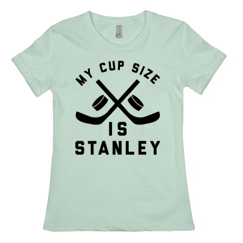 Is size my stanley cup My Cup
