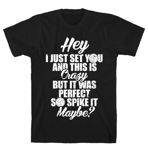 Hey I Just Set You And This Is Crazy T-Shirt