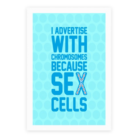 Sex Cells Poster