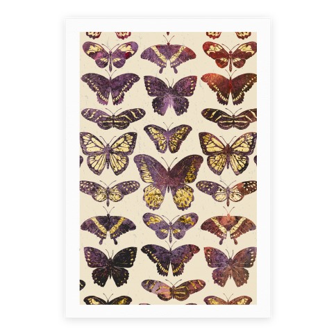 Butterfly Species Pattern Poster