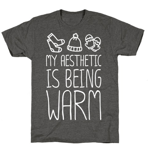 My Aesthetic Is Being Warm T-Shirt