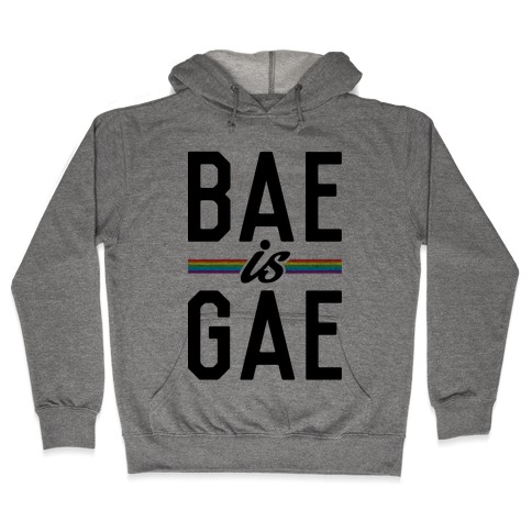 Bae Is Gae Hooded Sweatshirt