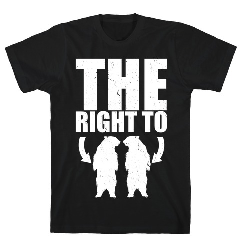 The Right to Bear Arms T-Shirt