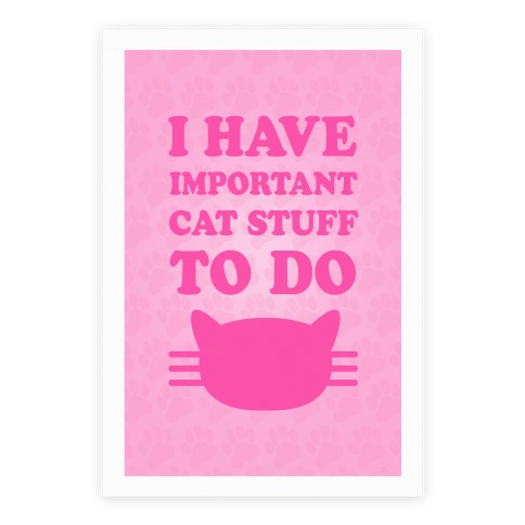 I Have Important Cat Stuff To Do Poster