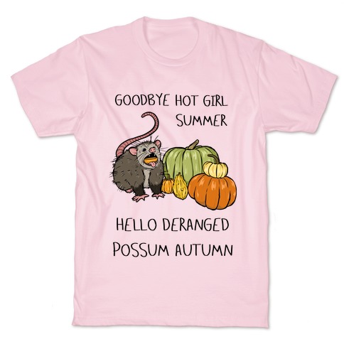 Goodbye Hot Girl Summer Hello Deranged Possum Autumn T-Shirt