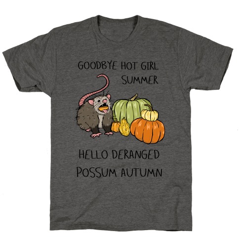 Goodbye Hot Girl Summer Hello Deranged Possum Autumn T-Shirt