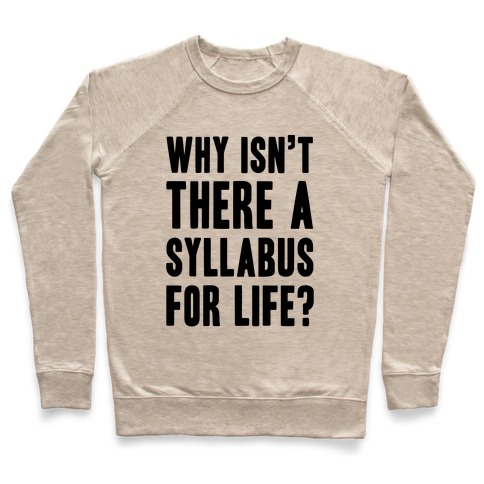 Why Isn't There A Syllabus For Life Pullover