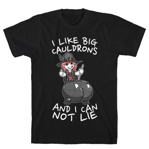 I Like Big Cauldrons And I Can Not Lie T-Shirt