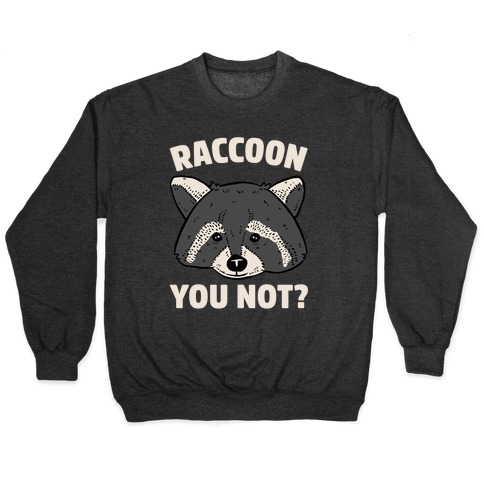Raccoon You Not? Pullover