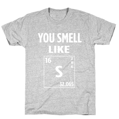You Smell Like [Ne] 3s2 3p4 T-Shirt