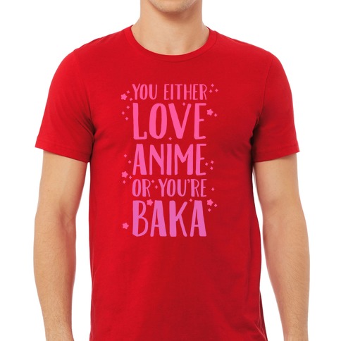 Baka and Test - Summon the Beasts OVA Anime Reviews | Anime-Planet