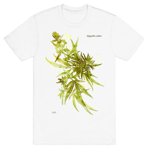 Cannabis Botanical Illustration T-Shirt
