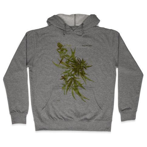 Cannabis Botanical Illustration Hooded Sweatshirt