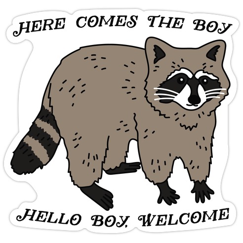 Here Comes The Boy, Hello Boy, Welcome - Raccoon Die Cut Sticker