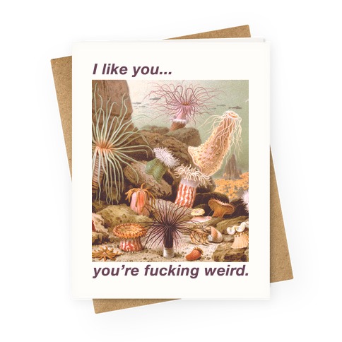 I Like You You're F***ing Weird Greeting Card