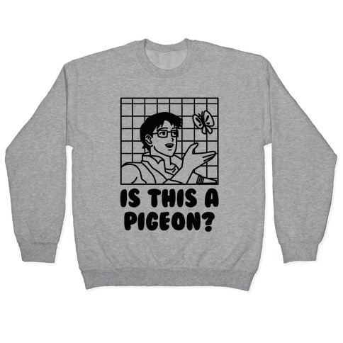 Is This A Pigeon? Pullover