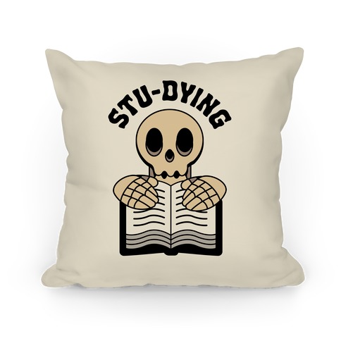 Stu-dying Pillow