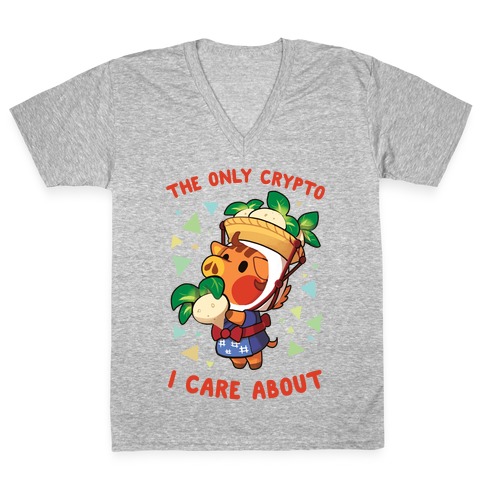 The Only Crypto I Care About V-Neck Tee Shirt