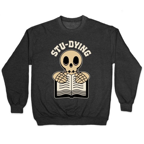 Stu-dying  Pullover