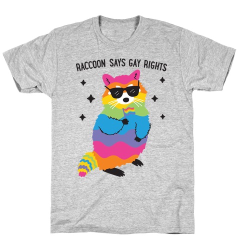 Raccoon Says Gay Rights T-Shirt