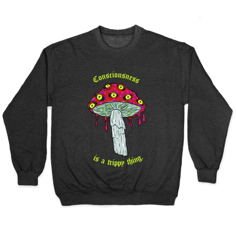 Consciousness Is A Trippy Thing Pullover