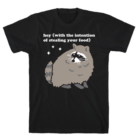Hey (with the intention of stealing your food) Raccoon T-Shirt