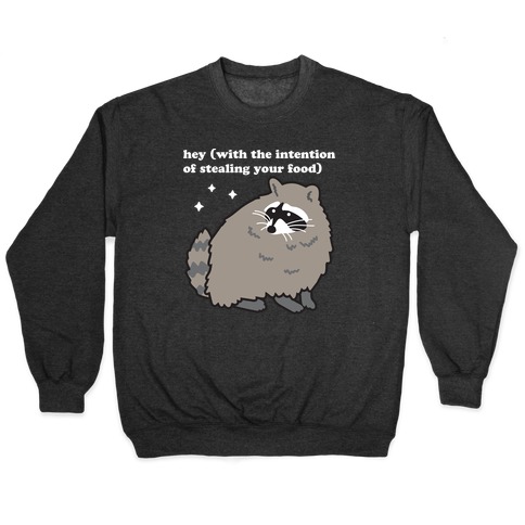 Hey (with the intention of stealing your food) Raccoon Pullover