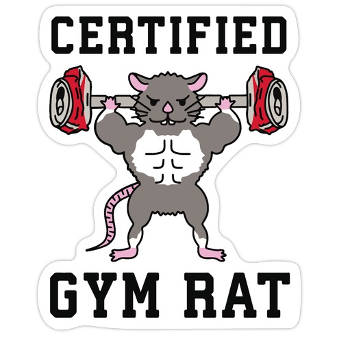 Gym Rat | Postcard