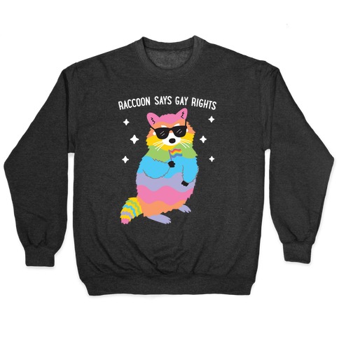Raccoon Says Gay Rights Pullover