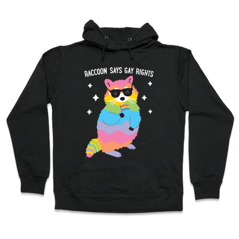 Raccoon Says Gay Rights Hooded Sweatshirt