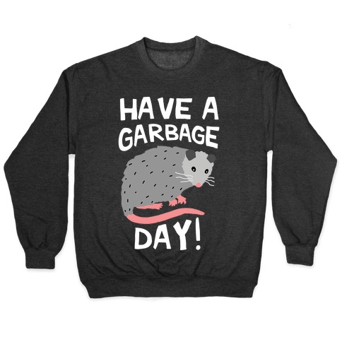 Have A Garbage Day Opossum Pullover