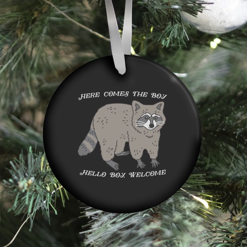 Here Comes The Boy, Hello Boy, Welcome - Raccoon Ornament